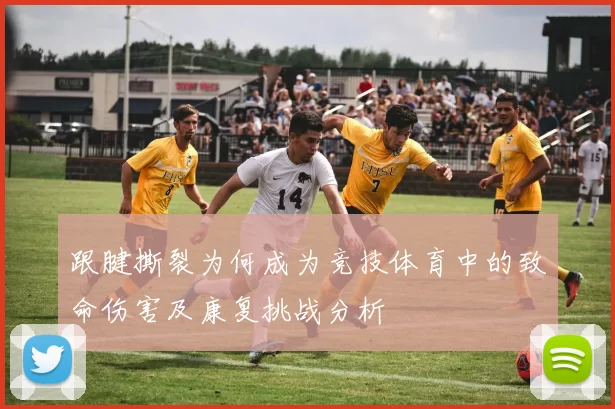 跟腱撕裂为何成为竞技体育中的致命伤害及康复挑战分析